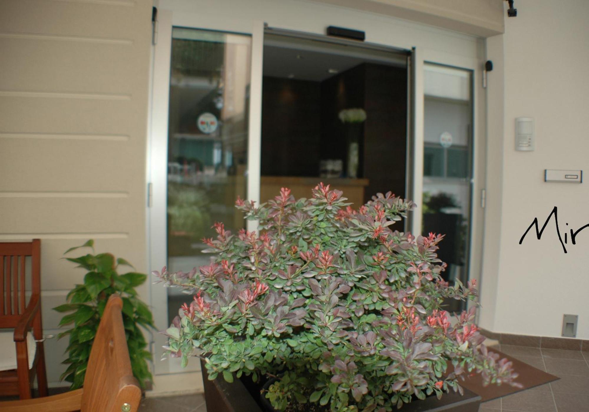 Hotel Miramare Pineto Exterior photo